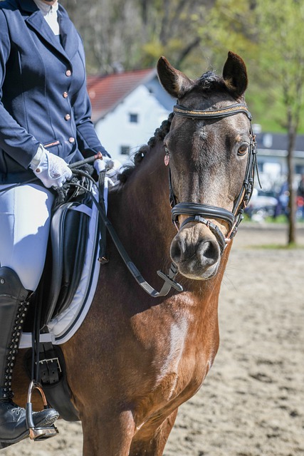 北青谈新赛季准入：梯队建设减量意在减负，对欠薪仍零容忍