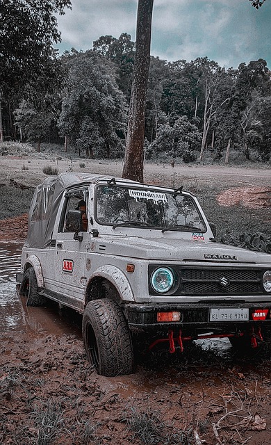 刘若钒本赛季从三镇自由身加盟海港，贡献5球6助攻