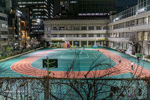 EA官方预热：您认为萨利巴在FC26中的评分能否达到88